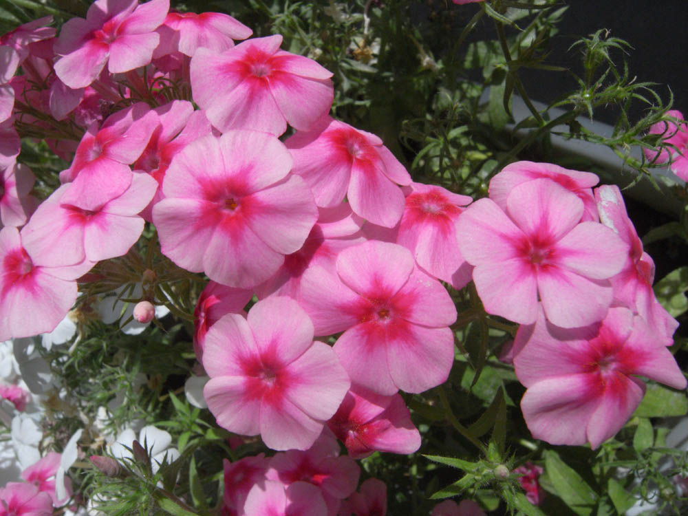 �T���Q�T��