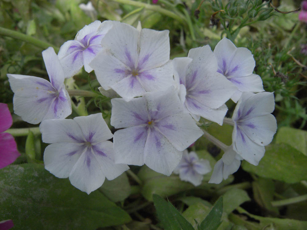 �U���O�P��