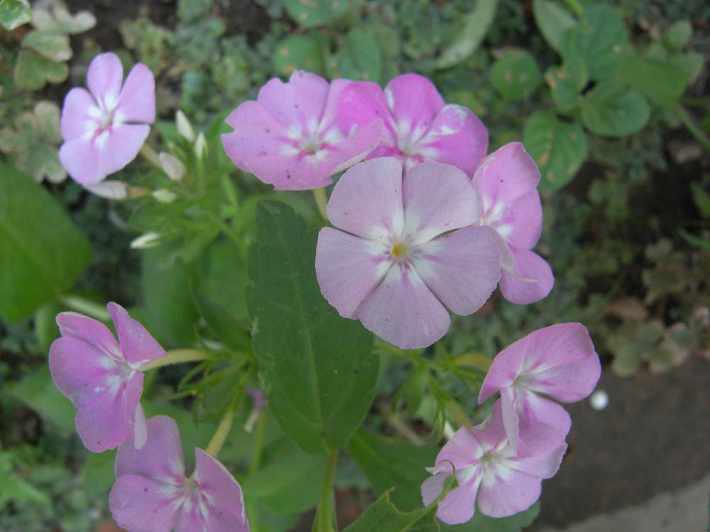 �U���O�R��