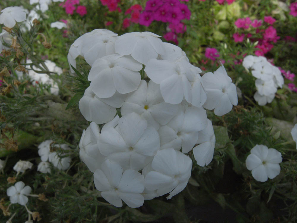 �U���P�Q��