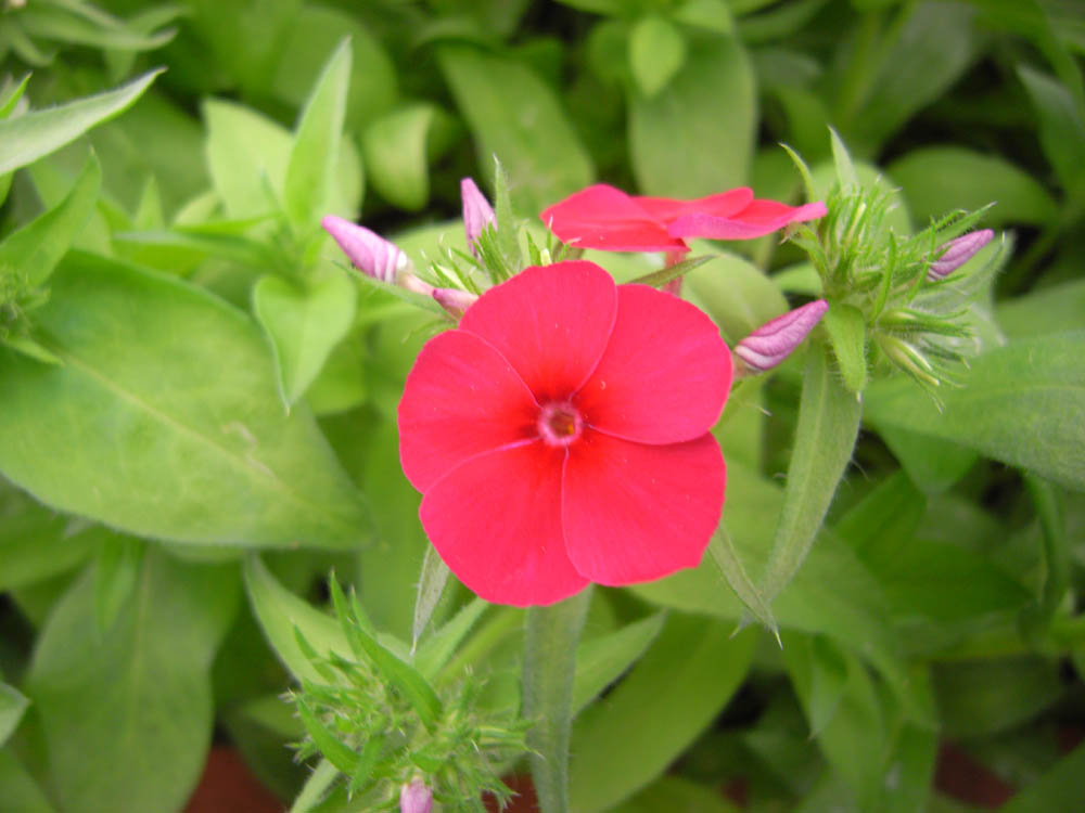 �U���P�T��