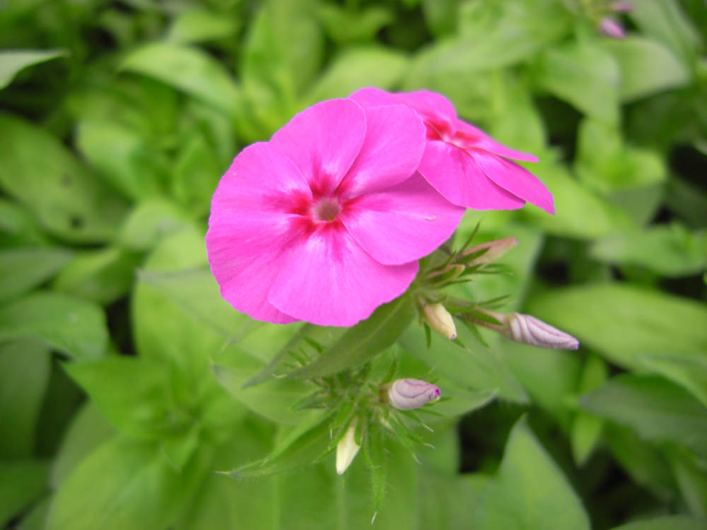 �U���P�V��