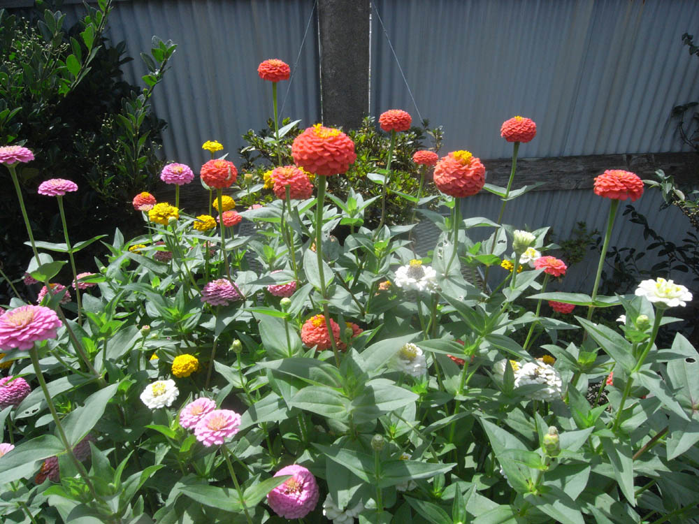 �T���Q�T��