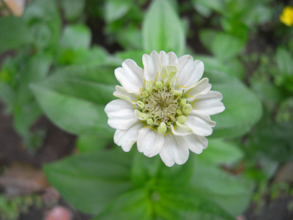 �U���O�P��