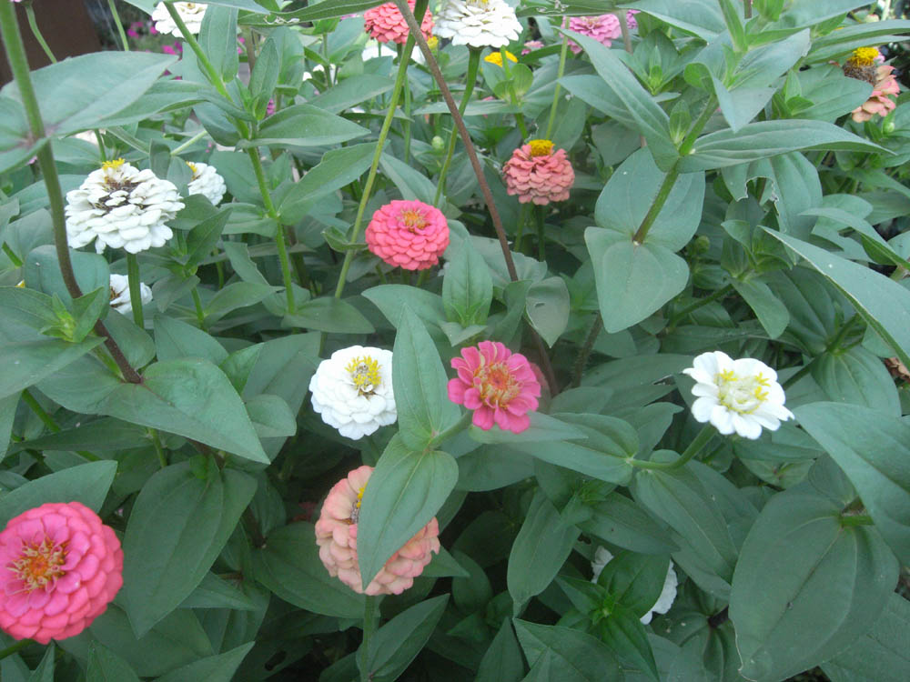 �U���P�Q��