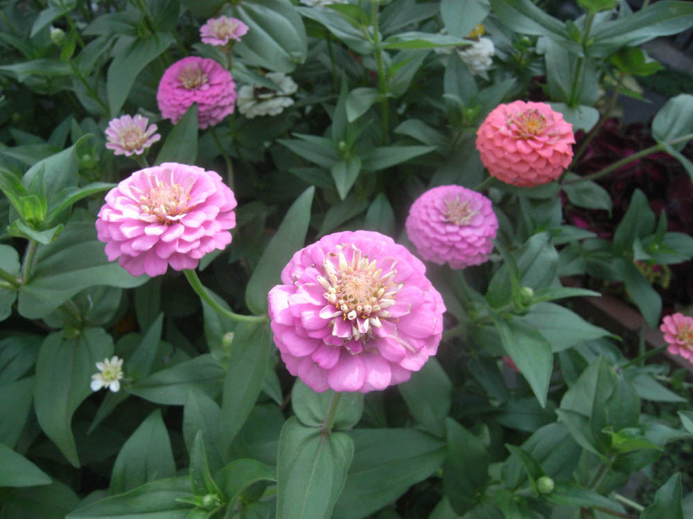 �U���Q�W��