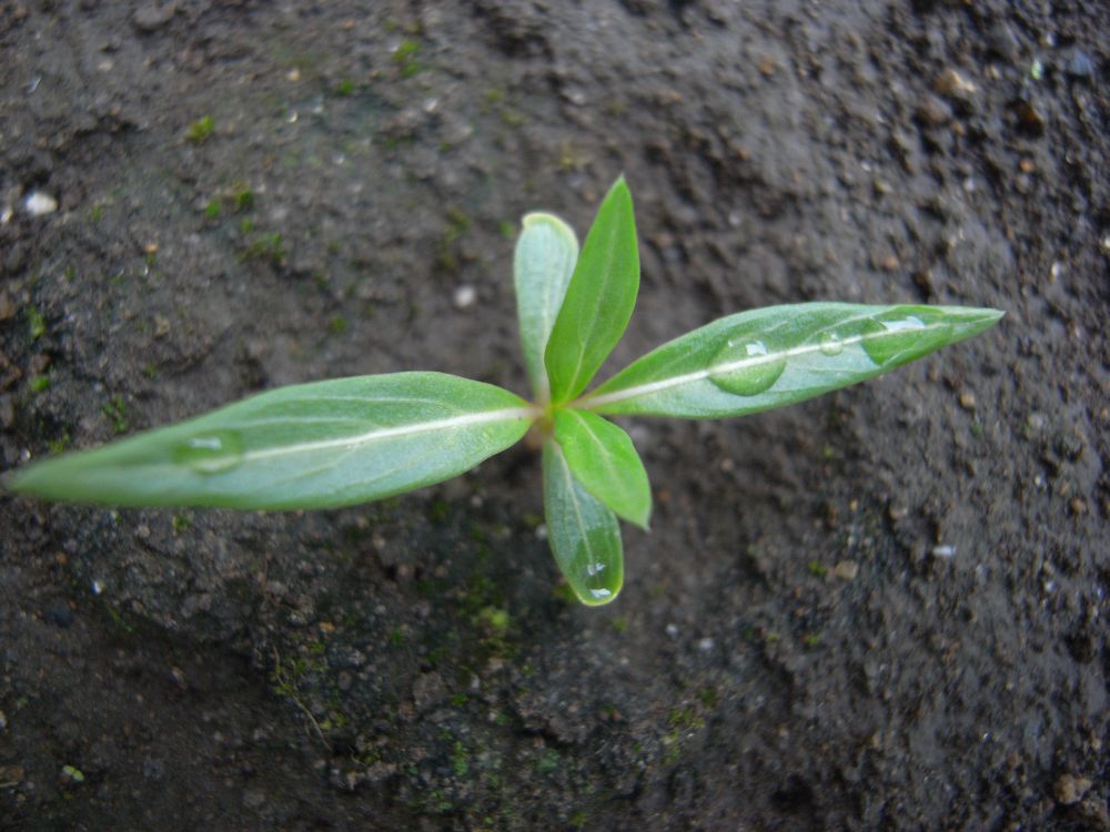 �j�`�j�`�\�E�S