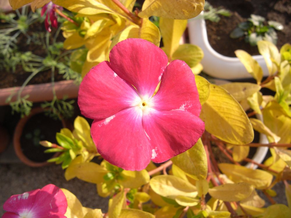 �j�`�j�`�\�E�Q�S