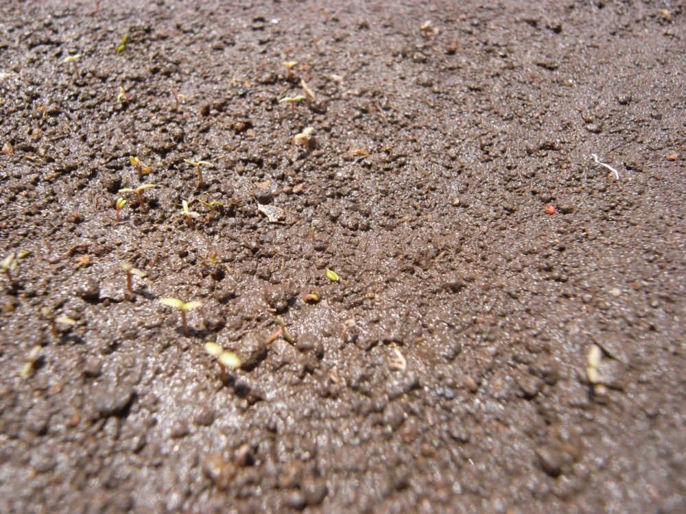 �|�[�`�����J�Q