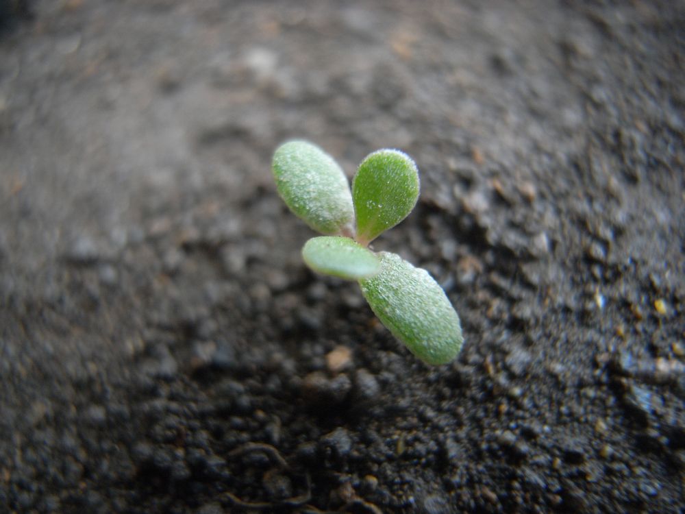 �|�[�`�����J�S