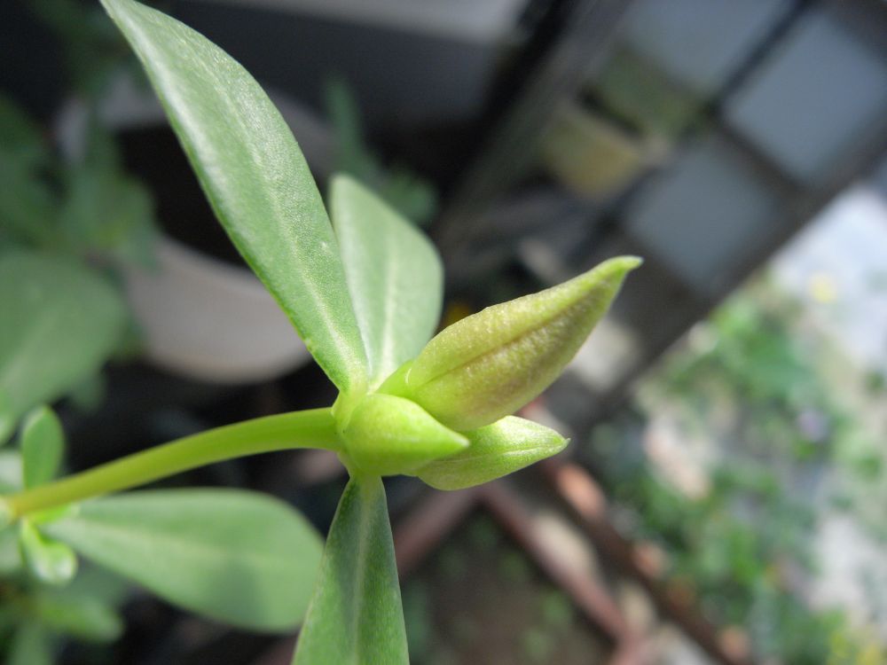 �|�[�`�����J�U