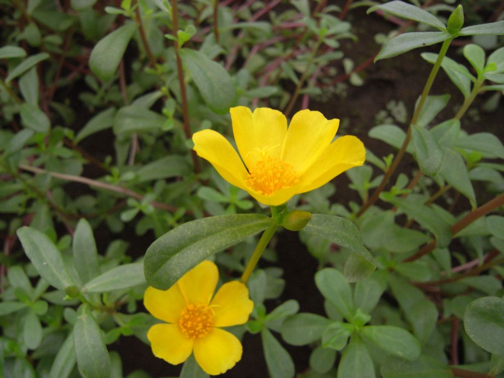 �|�[�`�����J�W