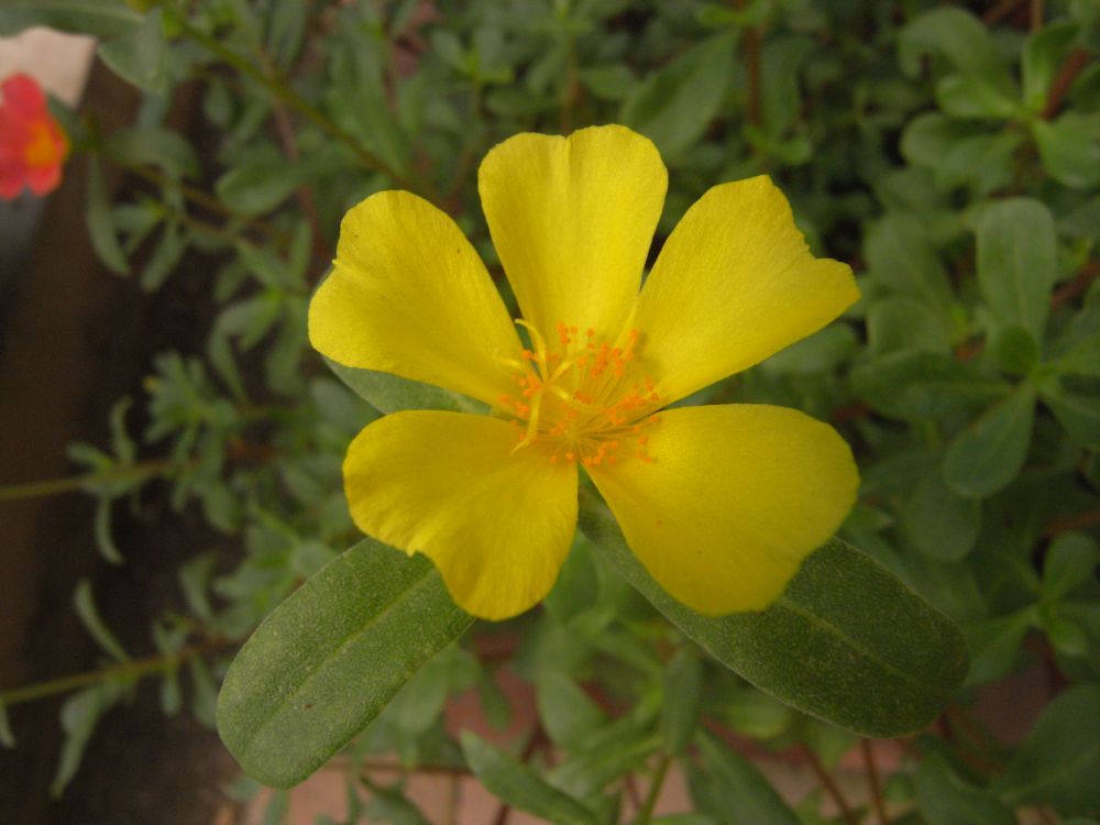 �|�[�`�����J�Q�Q