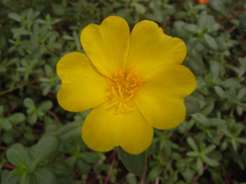 �|�[�`�����J�Q�S