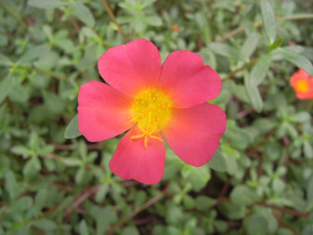 �|�[�`�����J�Q�T