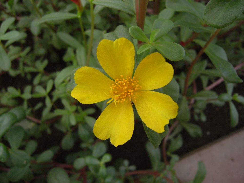 �|�[�`�����J�Q�V