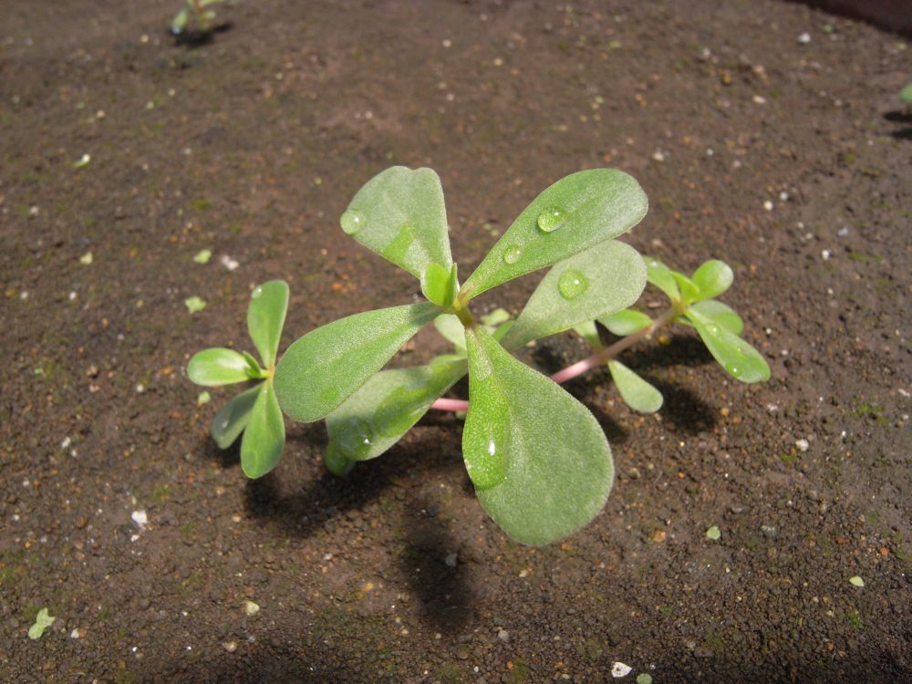 �|�[�`�����J�Q�X