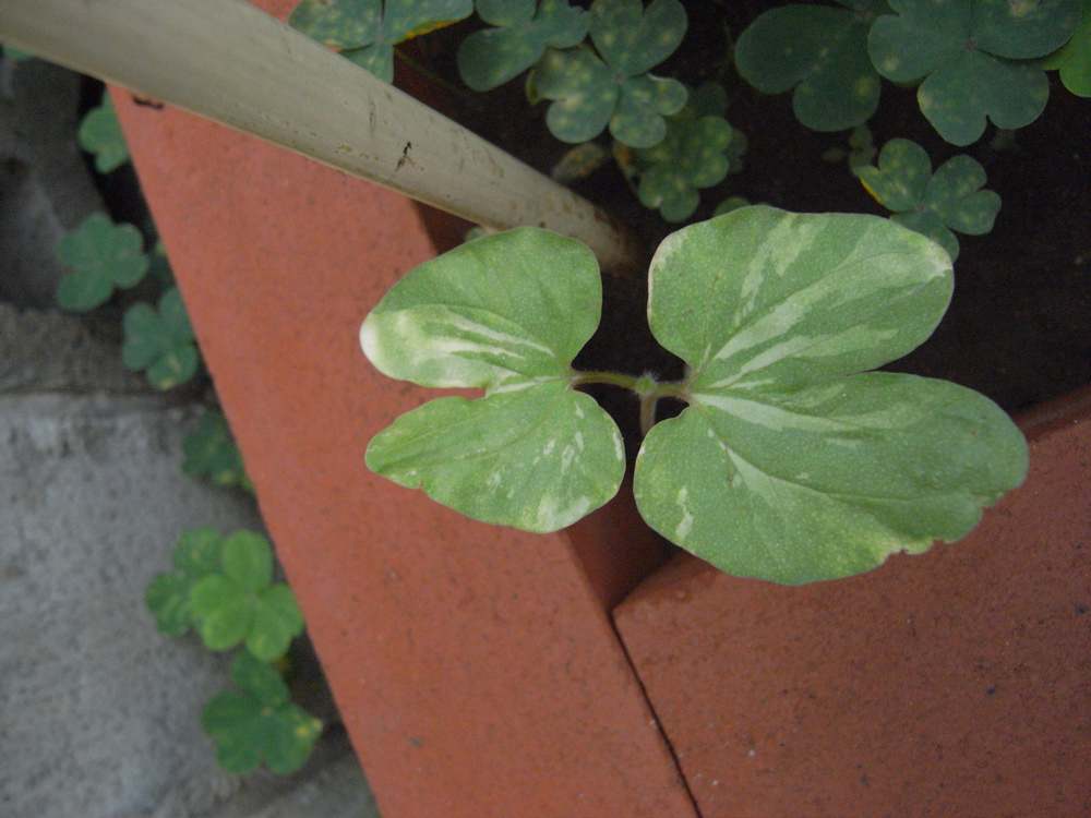 �U���Q�Q��