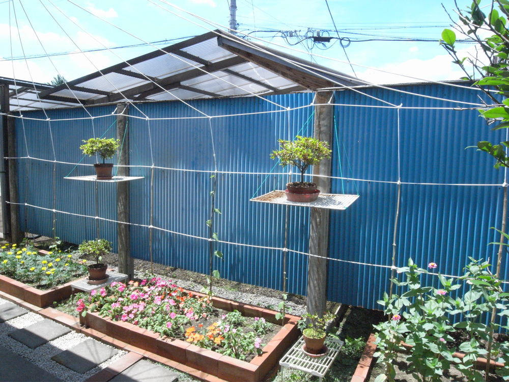 �V���P�W��