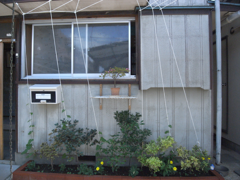 �V���P�W��