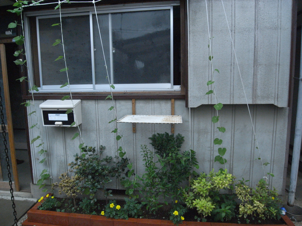 �V���Q�X��