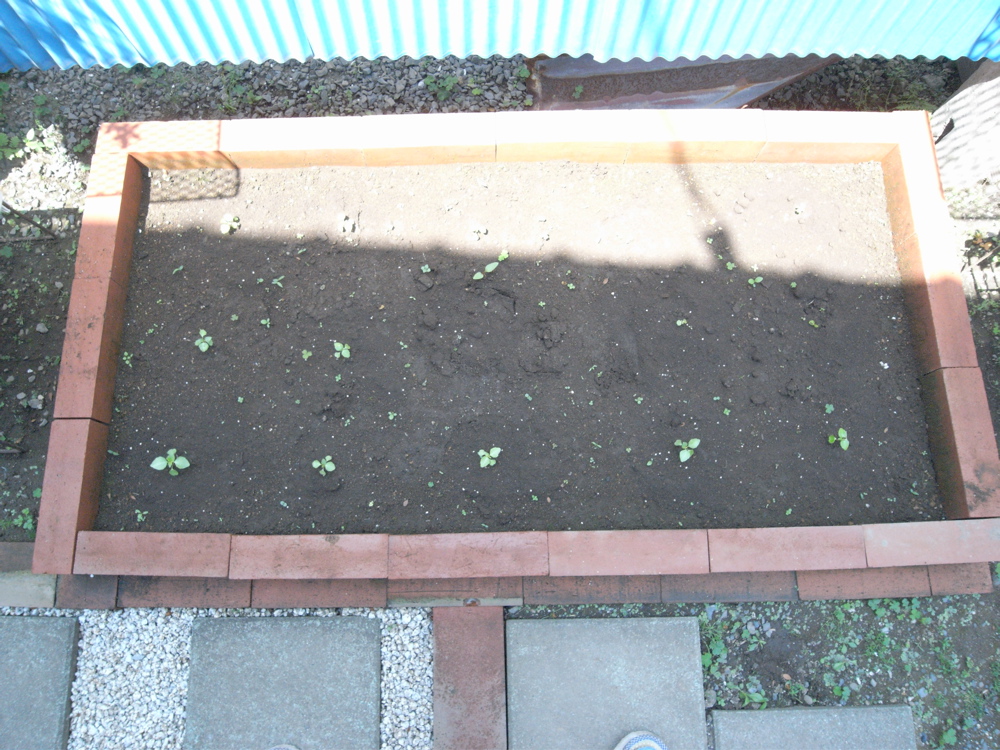 �U���O�R��