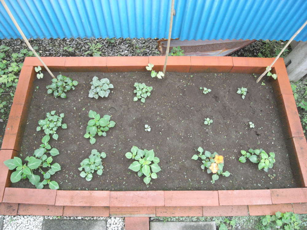 �U���Q�S��