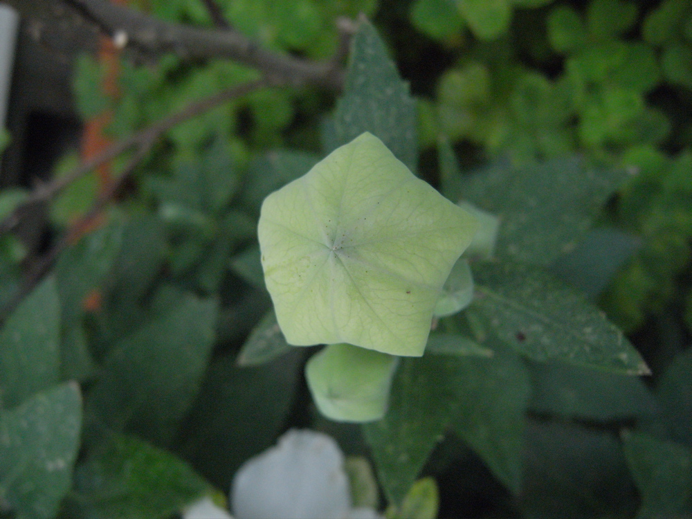 �U���Q�Q��