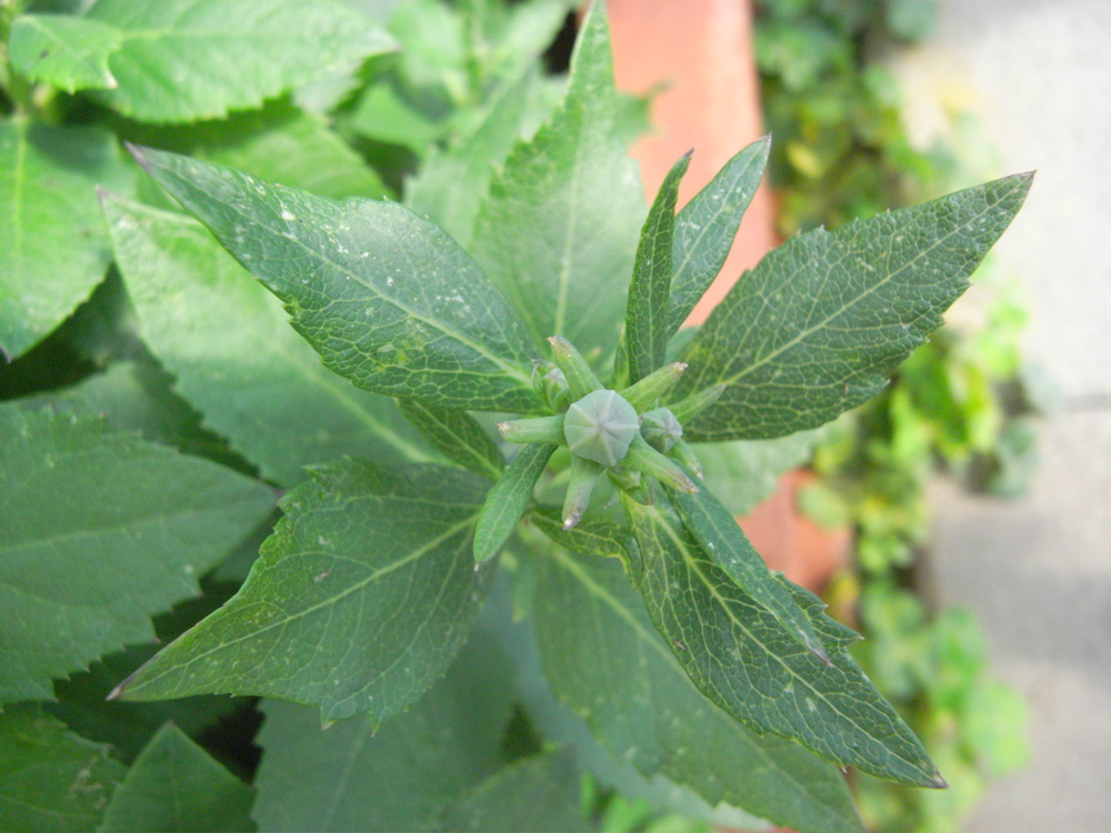 �U���P�O��