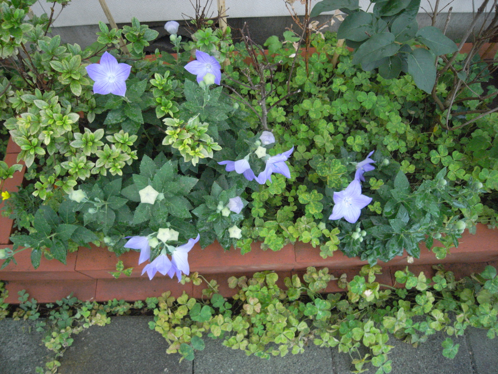 �U���Q�V��