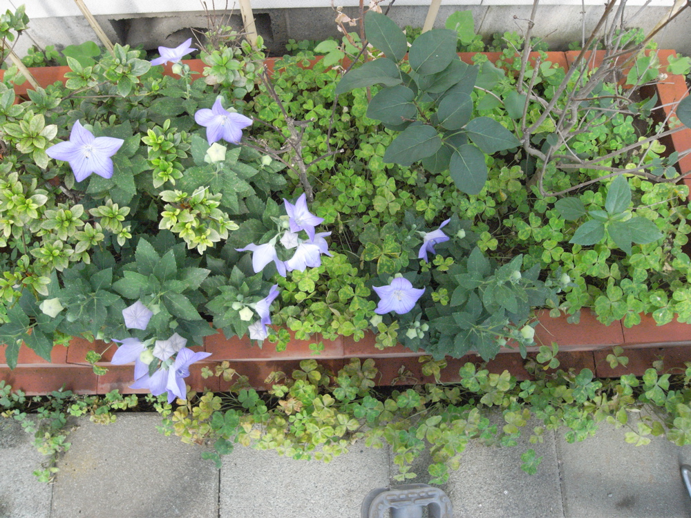 �U���Q�W��