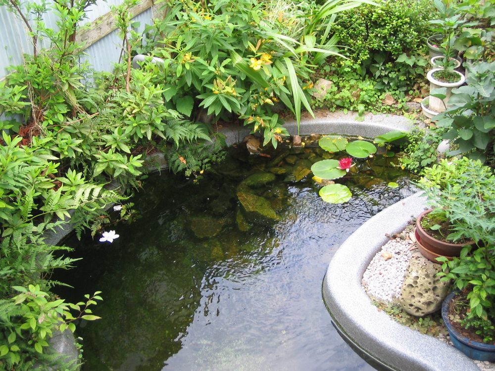 �V�N�O�V��