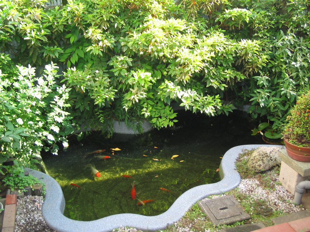 �X�N�O�U��