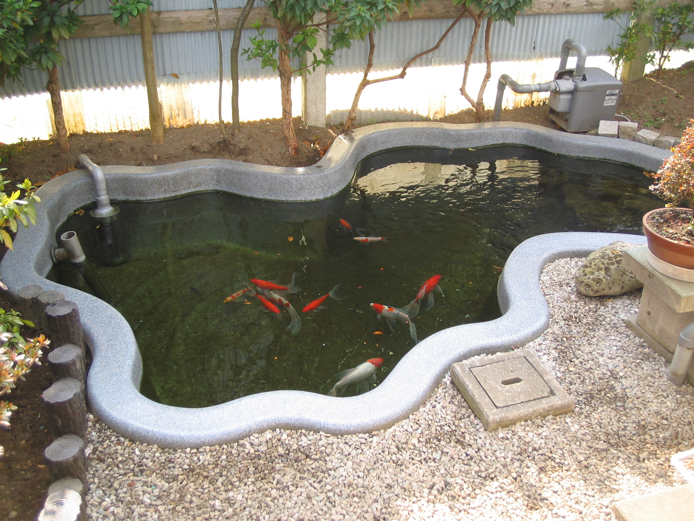 �P���Q�W��