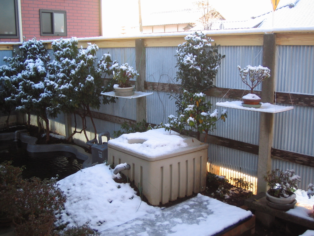 �Q���O�Q��