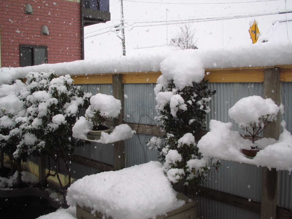 �Q���P�W��