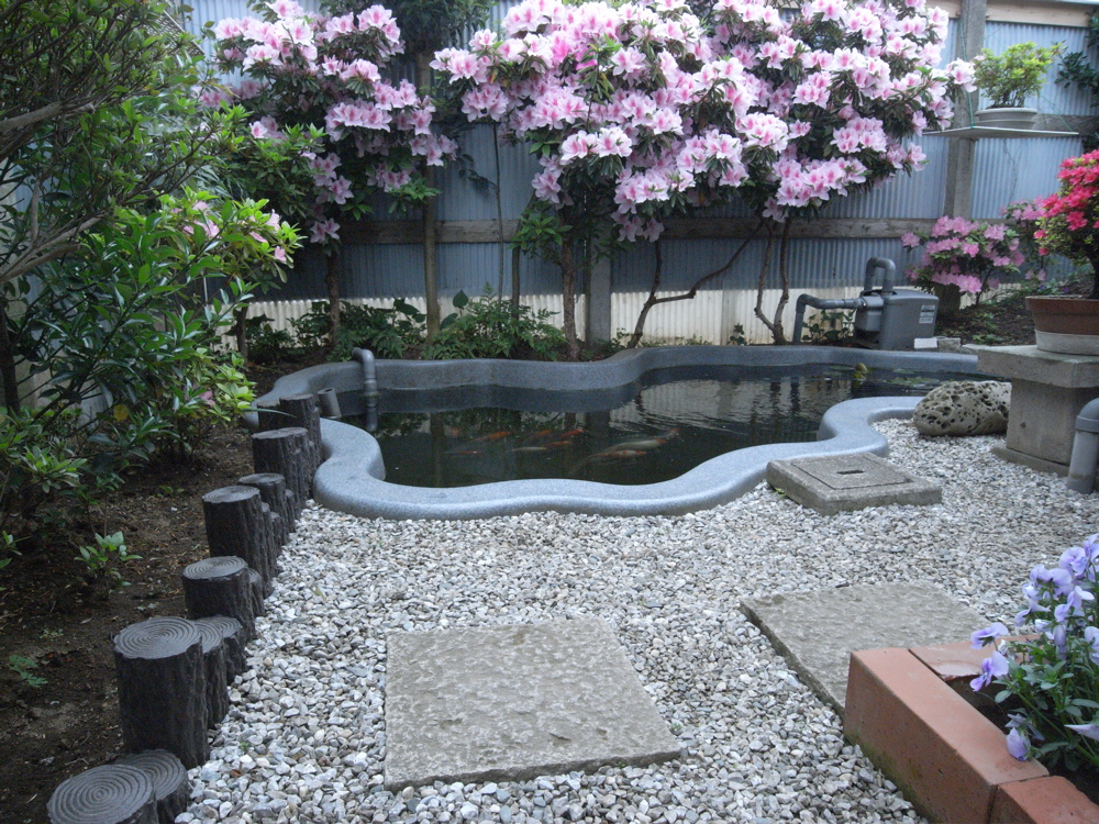 �T���P�O��