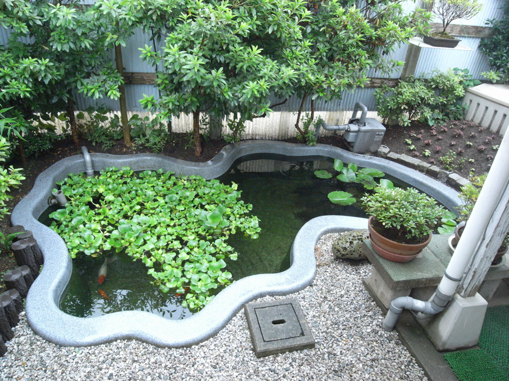 �W���O�Q��