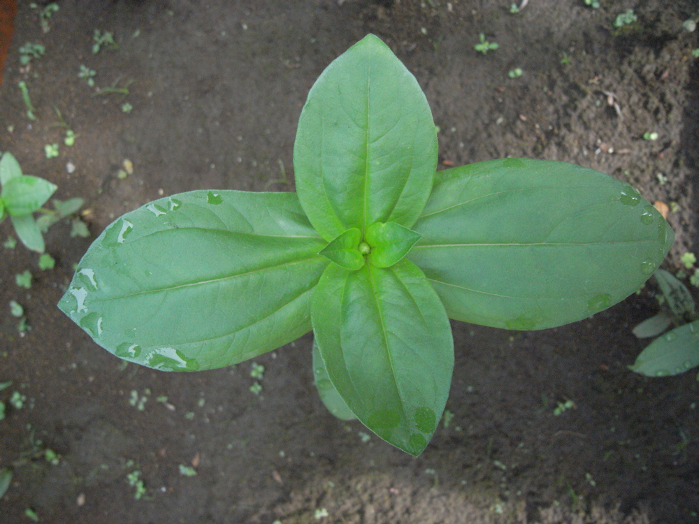 �U���Q�Q��