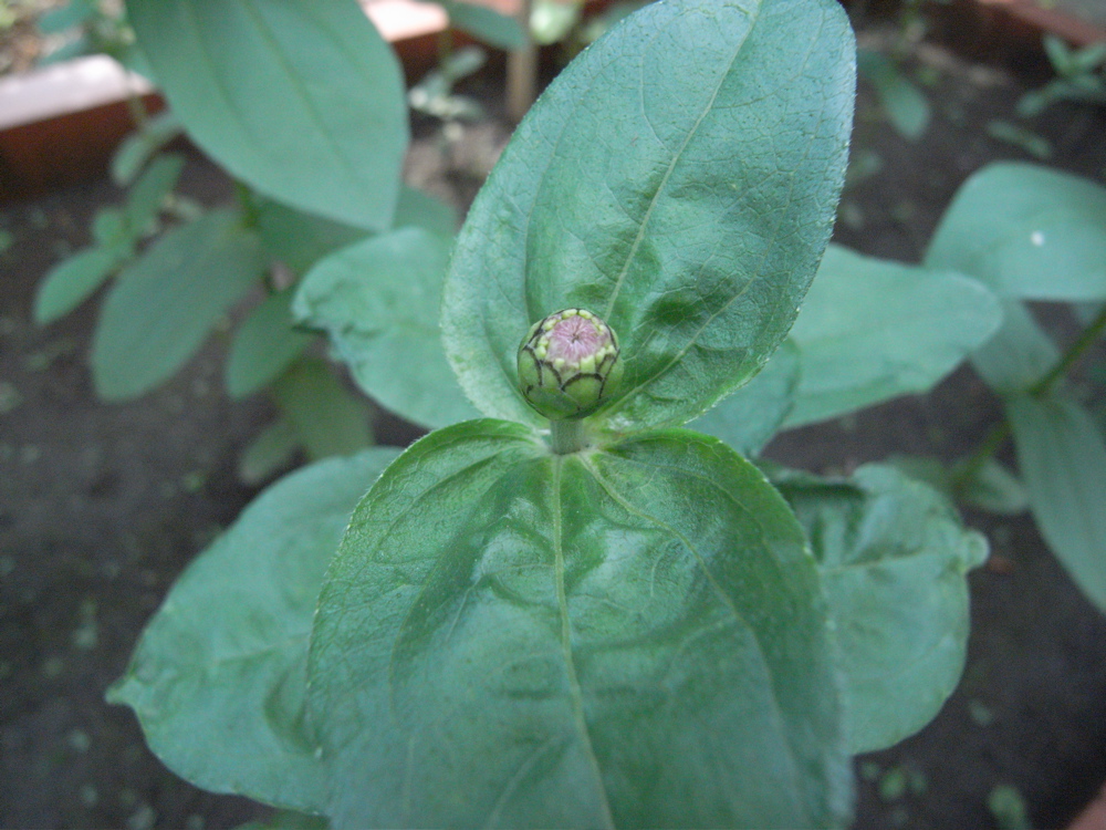 �U���Q�W��