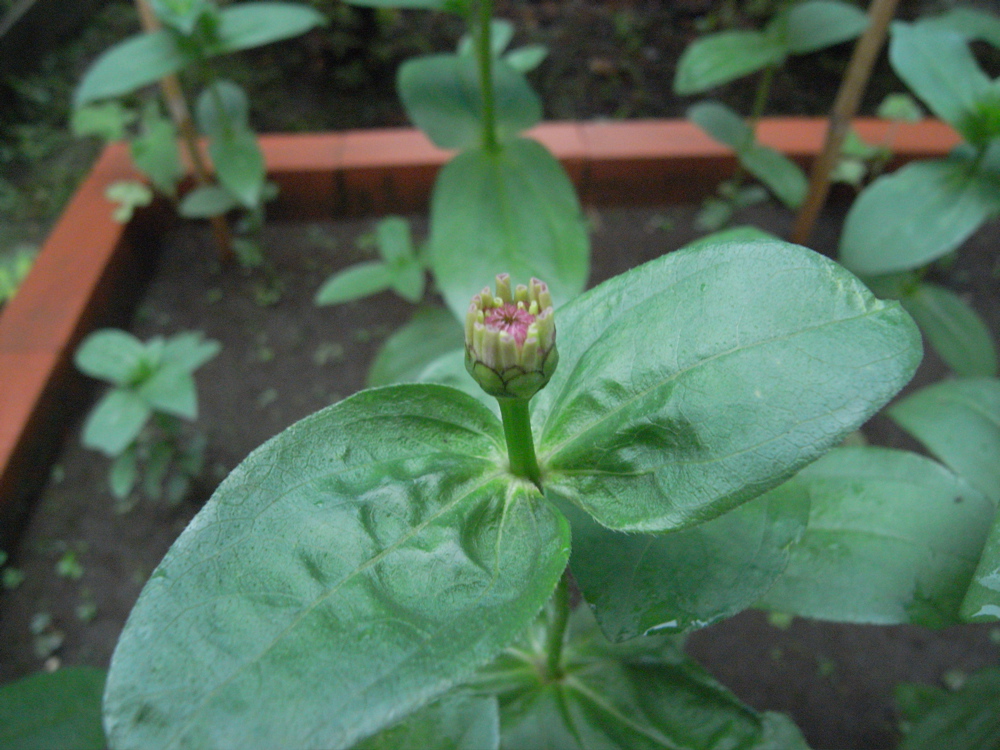 �U���R�O��