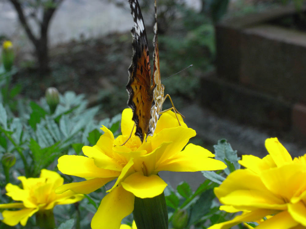 �A�Q�n�`���E�U