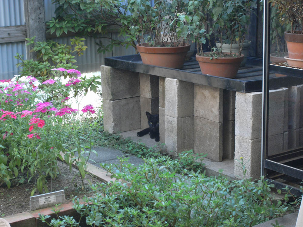 �������L