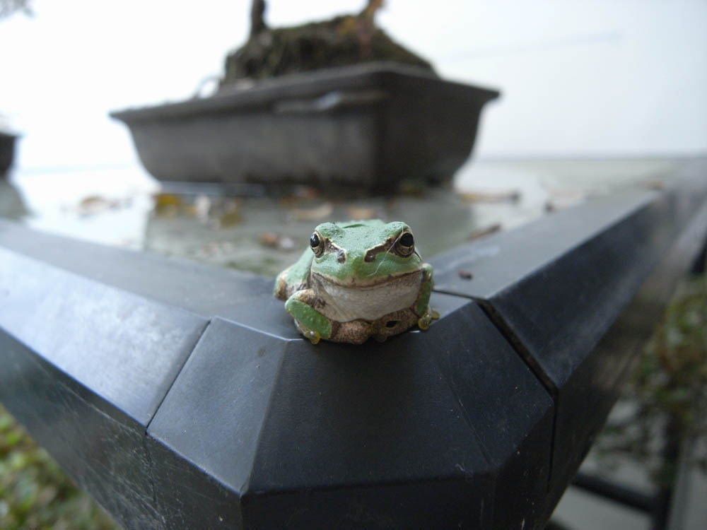 �^�i�A�}�K�G���j