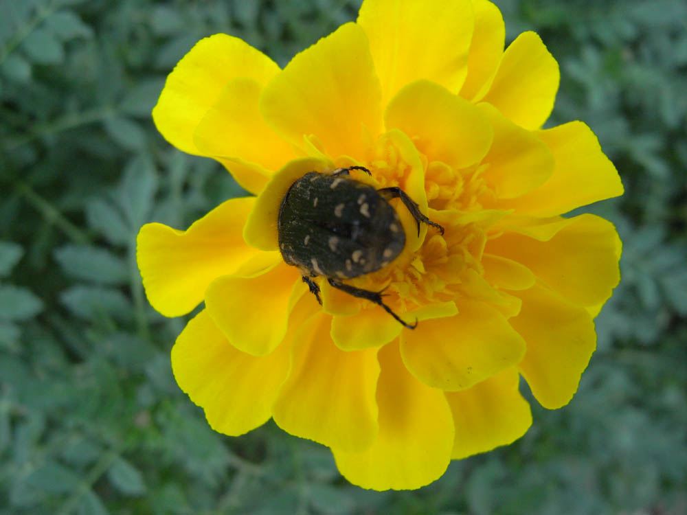 �����i�R���`���E�j