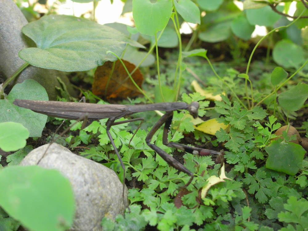 �奁i�J�}�L���j