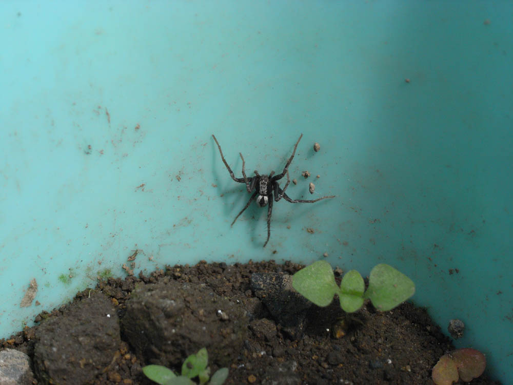 �w偁i�N���j