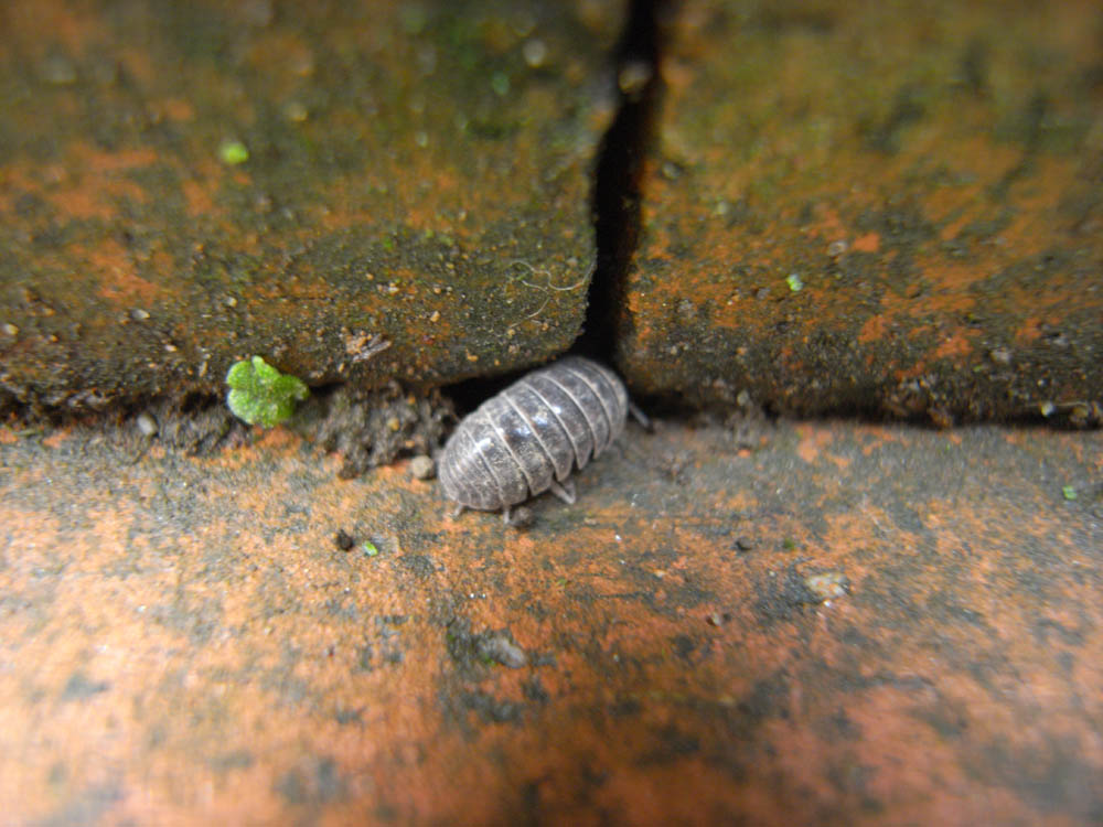 �_���S���V�Q