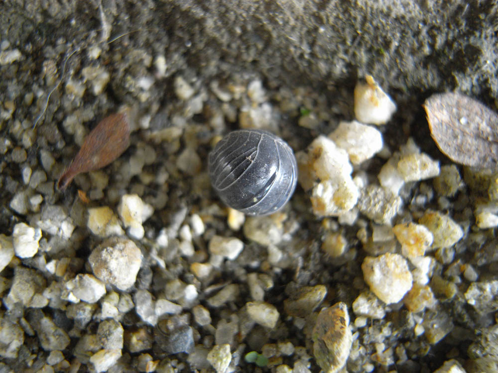 �_���S���V�S