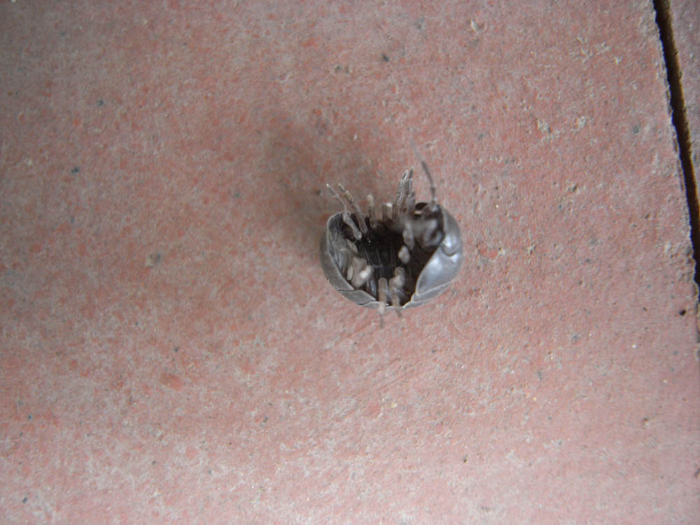 �_���S���V�V